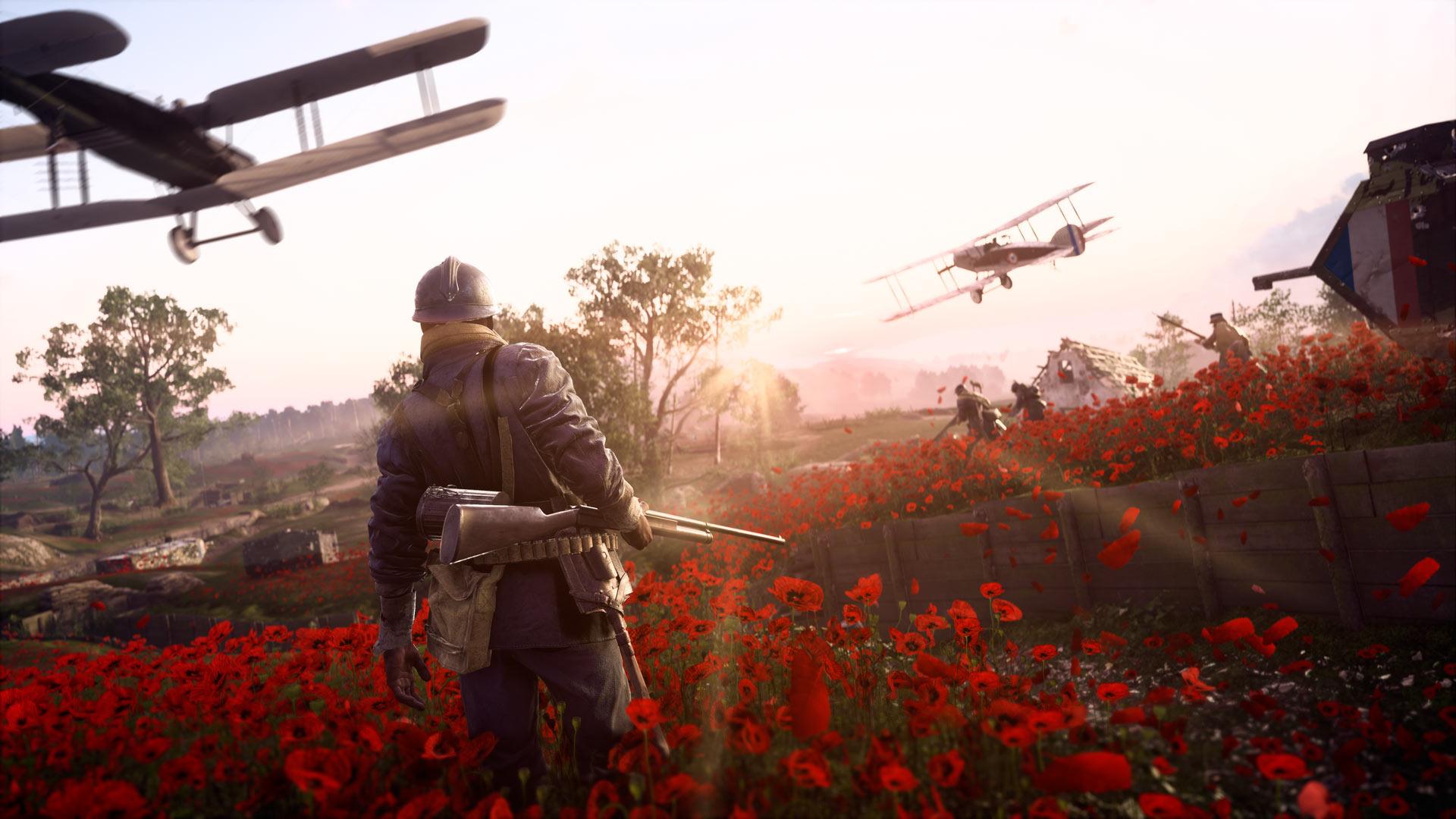 Battlefield 1 gamers known as a truce on Armistice day