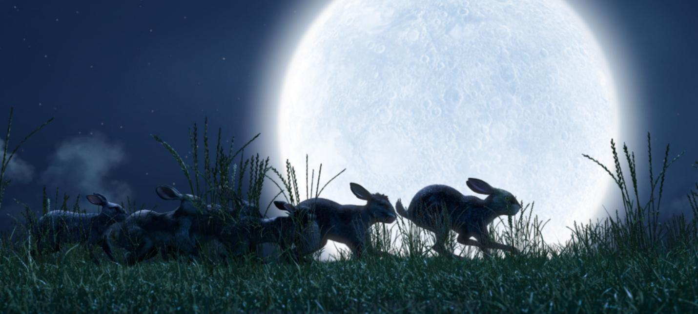 Опасные приключения кроликов в новом трейлере сериала «Обитатели холмов»