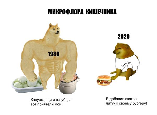 Я живу, а они — умирают: бактерии в моем теле Я живу, а они — умирают: бактерии в моем теле