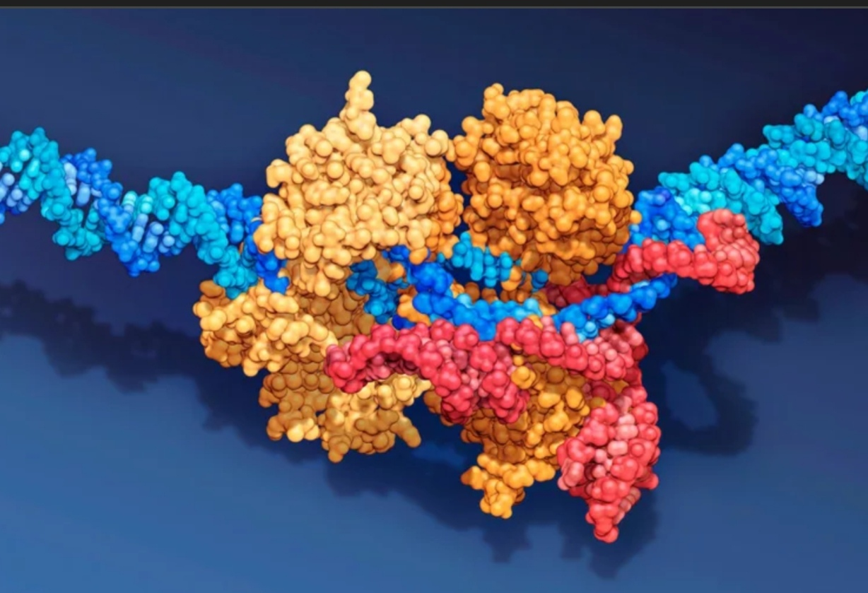 Понимание естественного интеллекта: Эволюционная модель жизни
