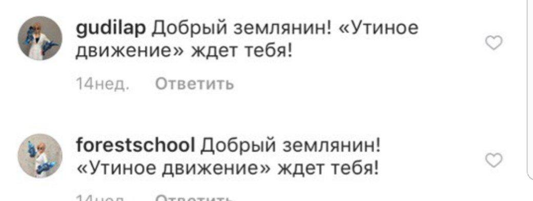 «Это гребаная тоталитарная секта»: косплееры боятся ехать к «Движению утят» в исландскую глушь «Это гребаная тоталитарная секта»: косплееры боятся ехать к «Движению утят» в исландскую глушь