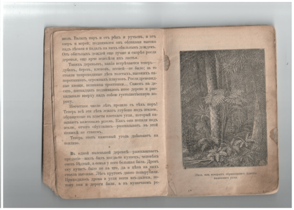 На волне вливания в чтение