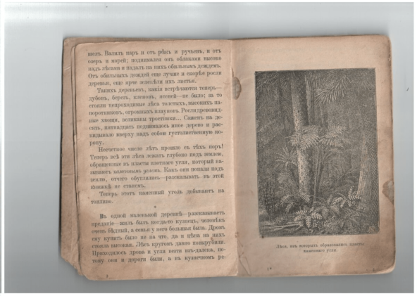 На волне вливания в чтение