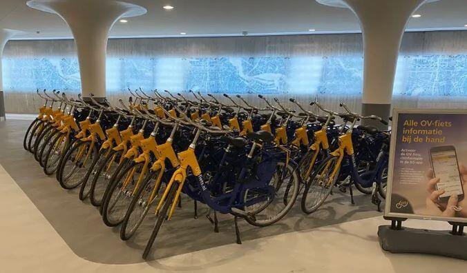 Мафия: примеры, команды и перспективы