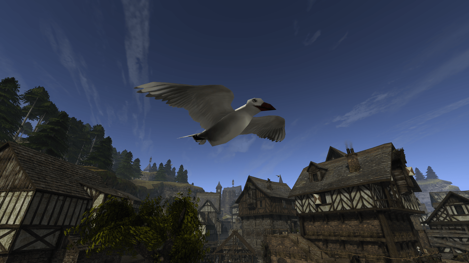 Архолос в саге «Хроники Миртаны»: исследование птиц