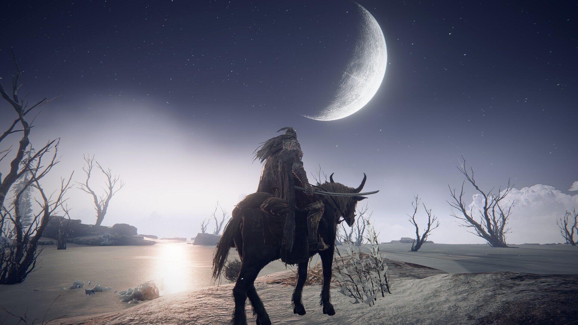 Летняя распродажа вернула Elden Ring, Forza Horizon 5 и Hogwarts Legacy в топ-10 чарта Steam