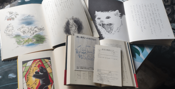 На волне вливания в чтение