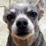 EuroTruck Simulator 2 #3