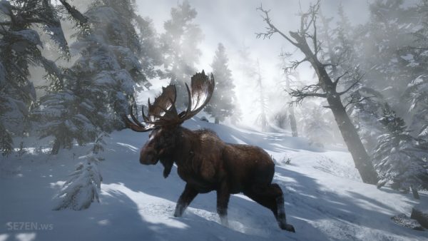 Red Dead Redemption 2 - Скриншот 6