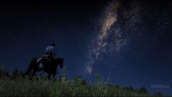 Red Dead Redemption 2 - Скриншот 8