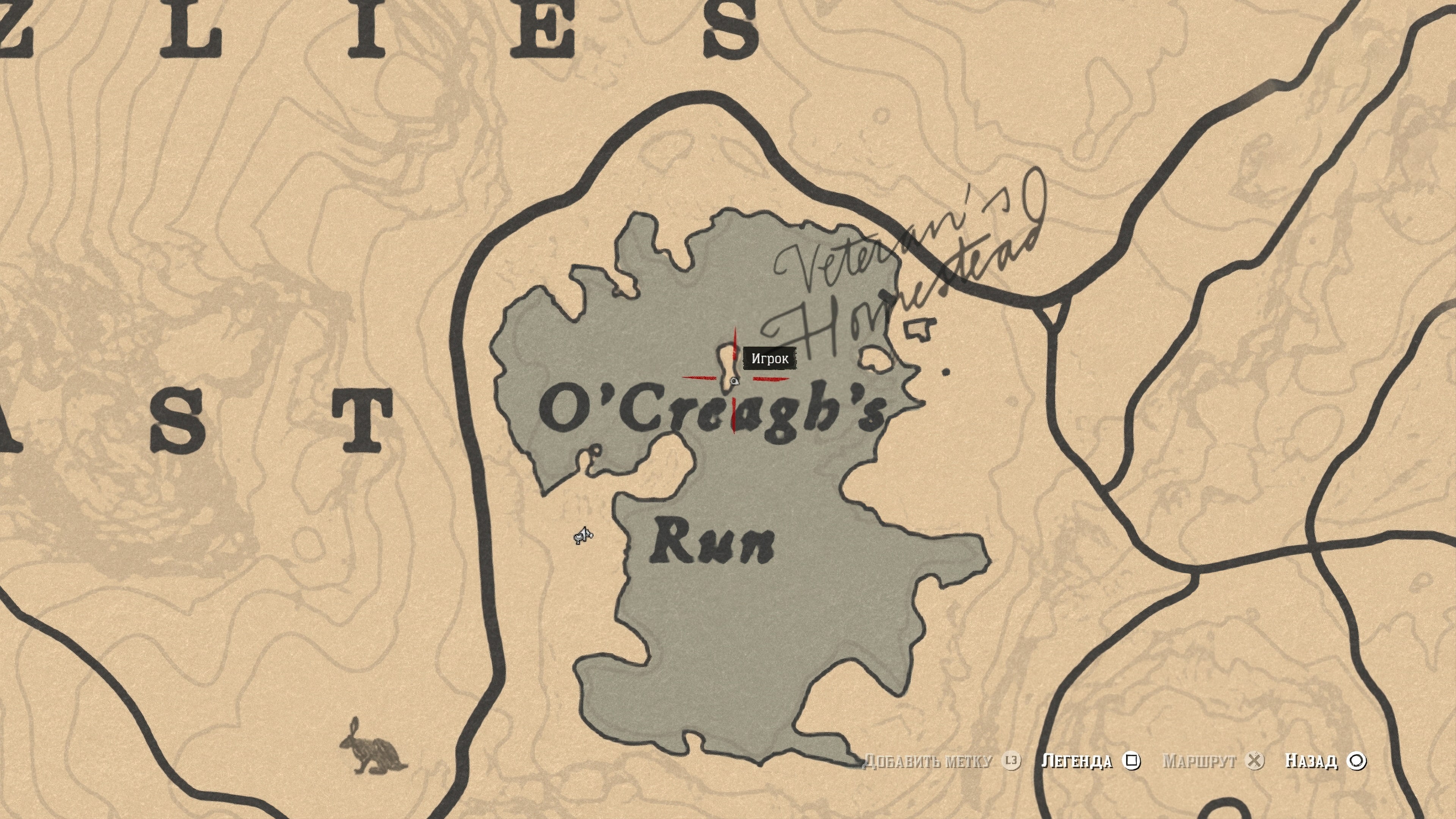 Карта сокровищ - 11