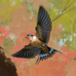 Cities Skylines II #2