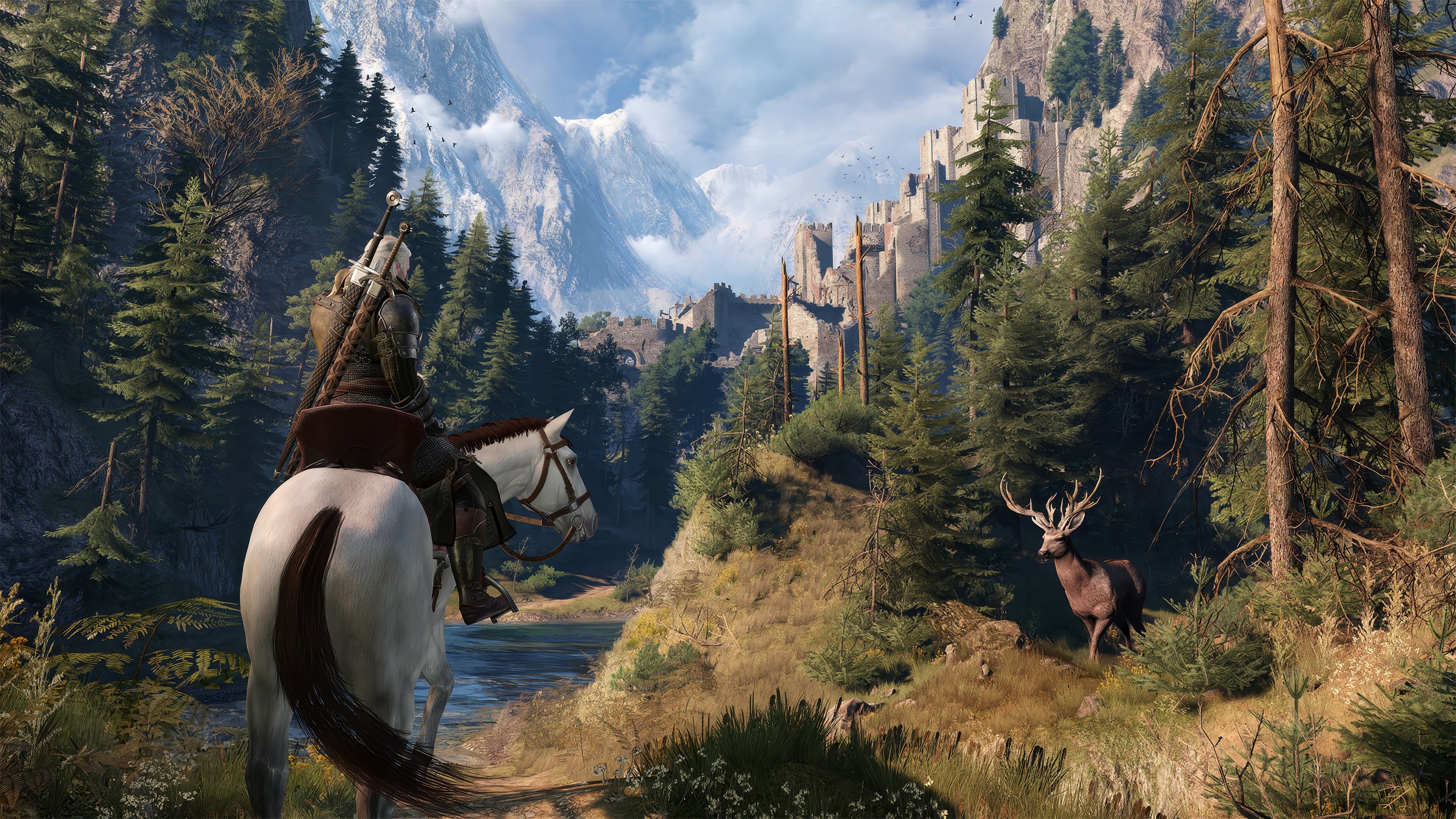 The Witcher 3 Wild Hunt - Скриншот 6