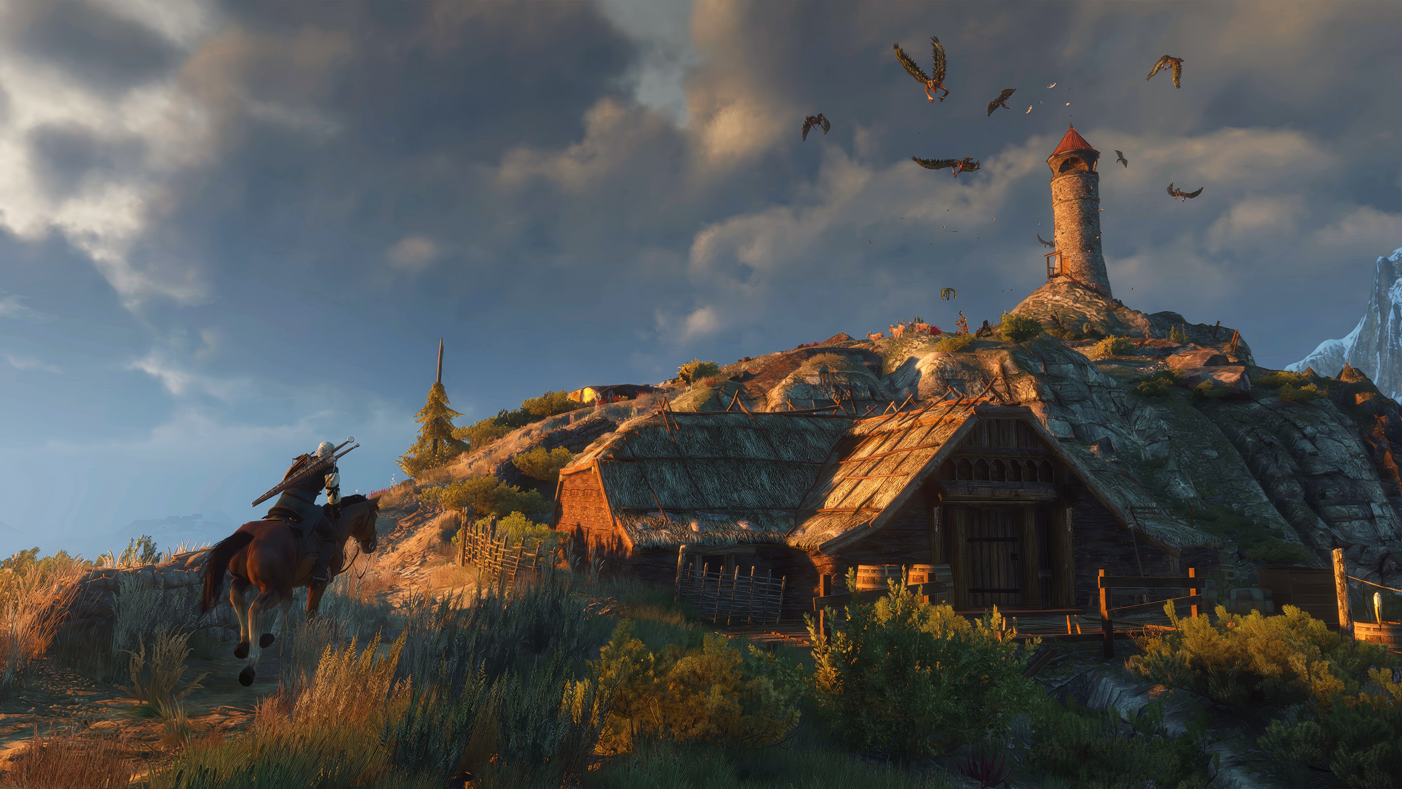 The Witcher 3 Wild Hunt - Скриншот 12