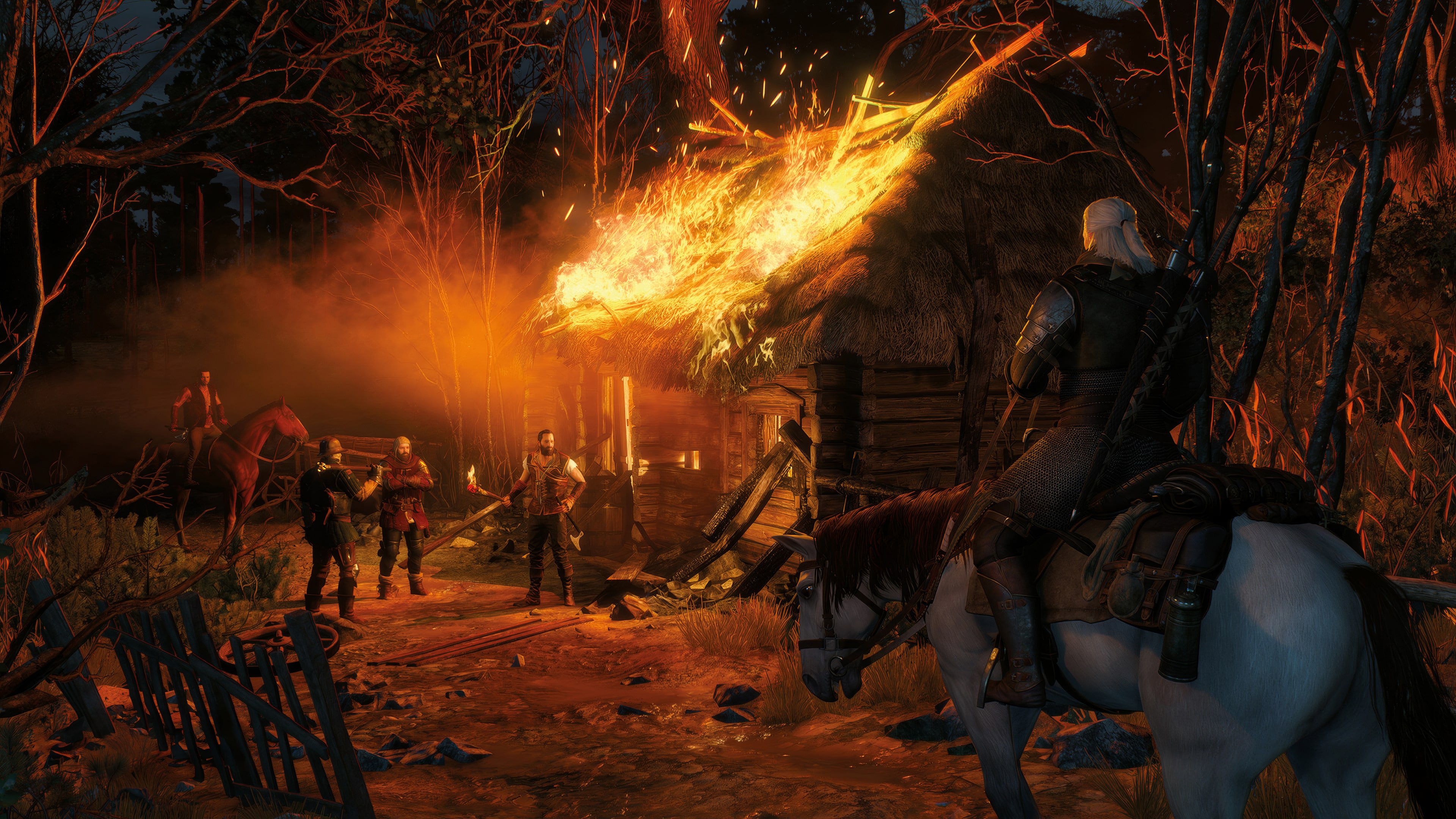 The Witcher 3 Wild Hunt - Скриншот 13