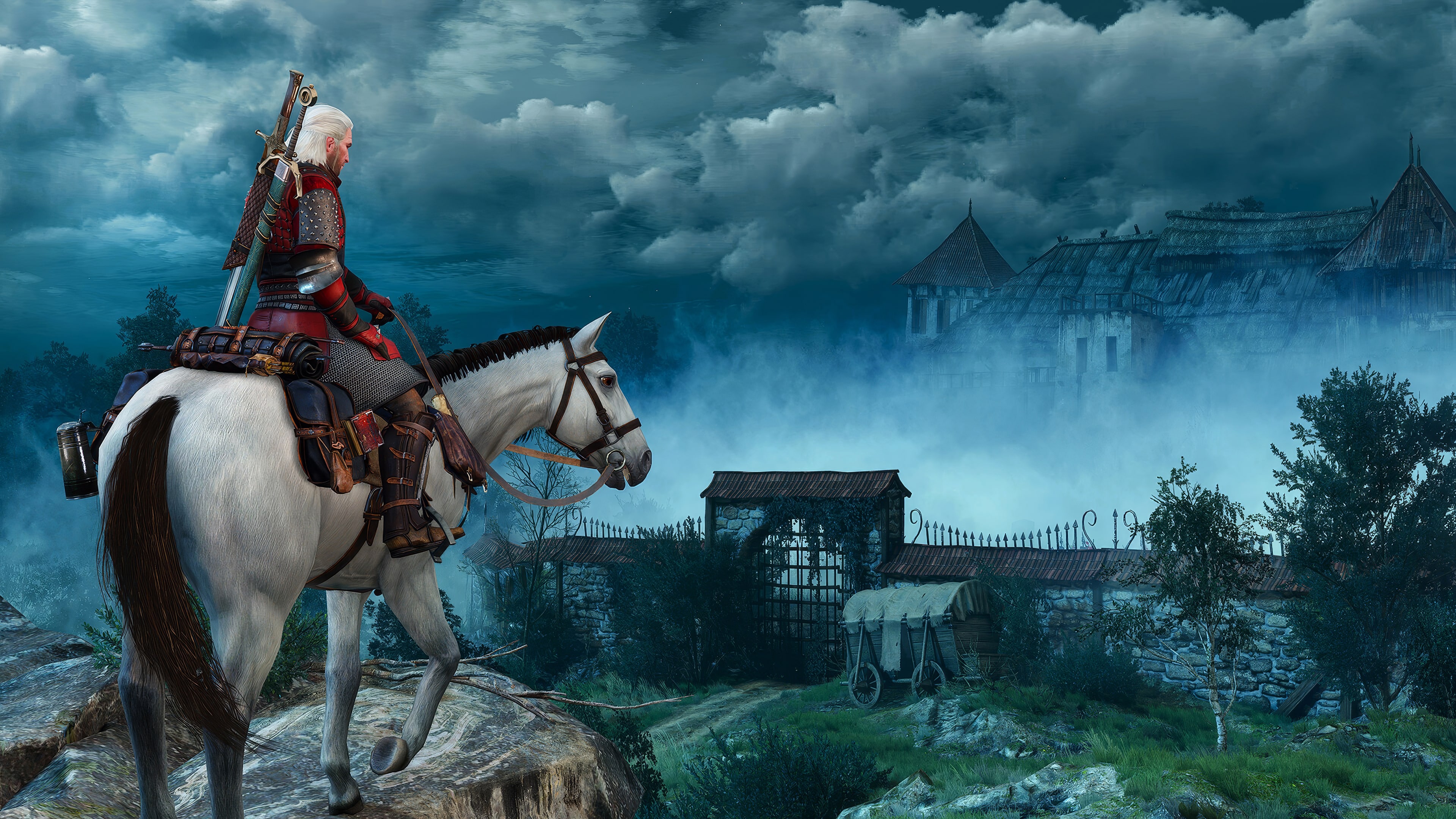 The Witcher 3 Wild Hunt - Скриншот 16