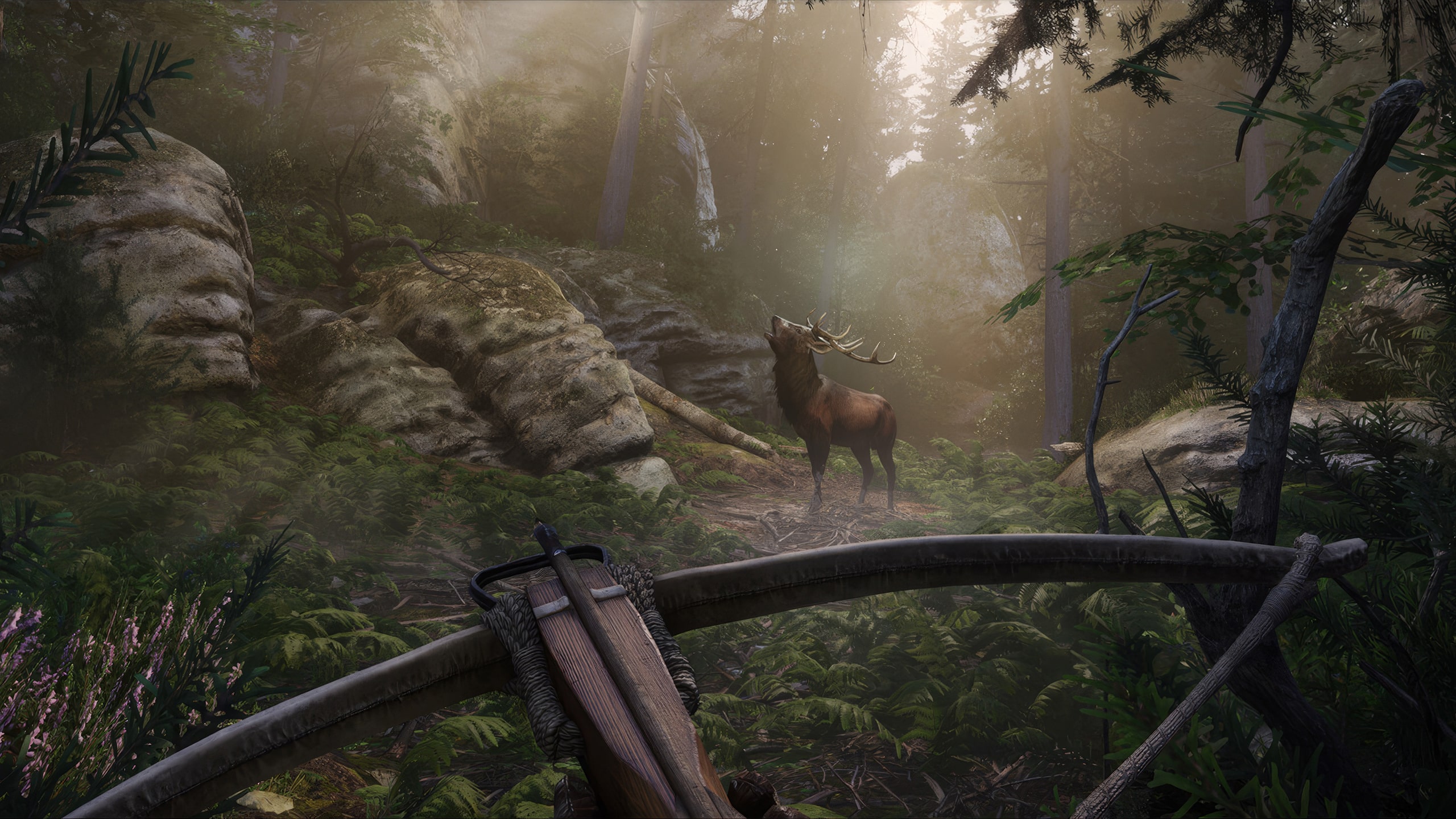 Kingdom Come: Deliverance II - Screenshot 3